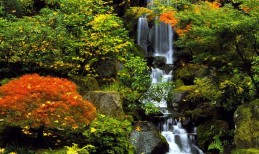 조경공사